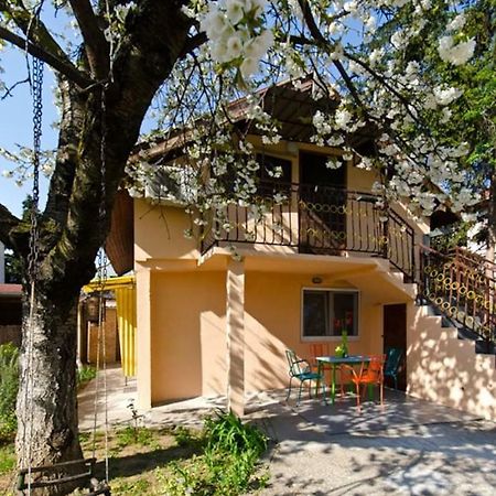 Cherry Tree Art House Belgrád Kültér fotó